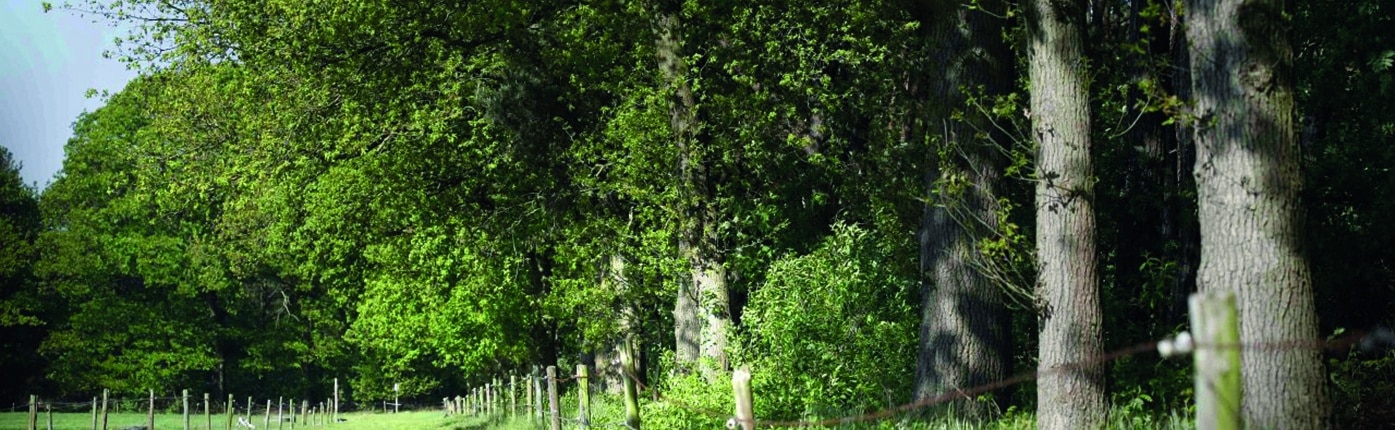 Wonen, werken en leven in de Maashorst